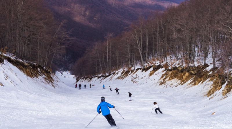 منتجع ناوسا